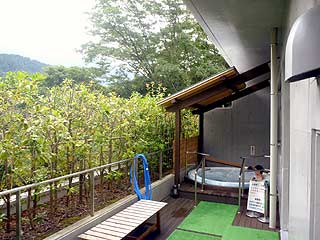P1060411.jpg